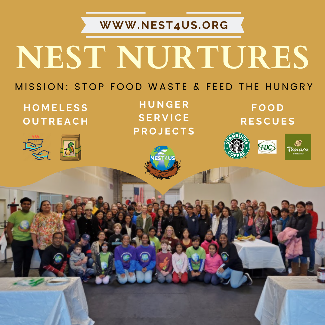 Nest Nurtures Flyer