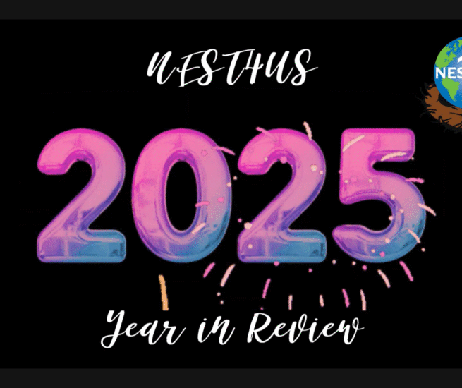 Screenshot 2025 12 29 104215