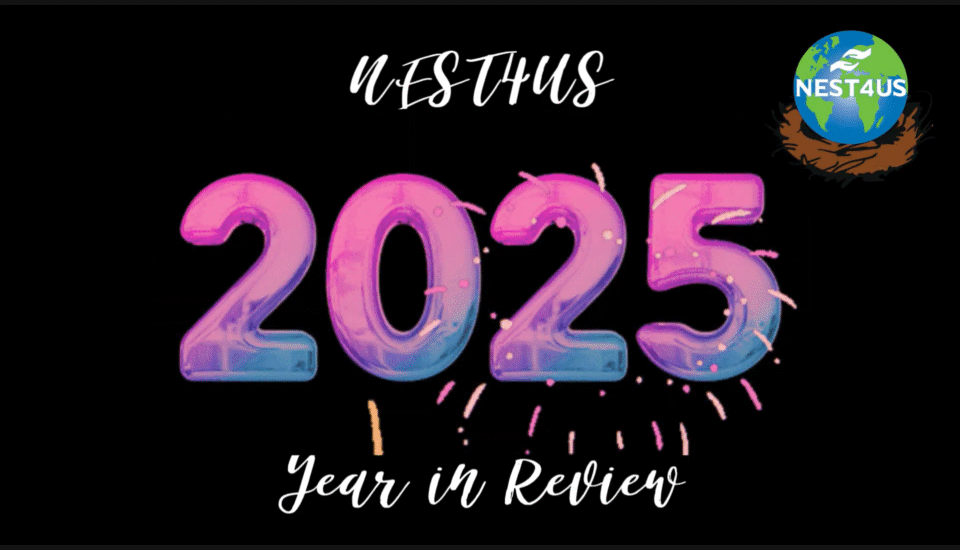 Screenshot 2025 12 29 104215