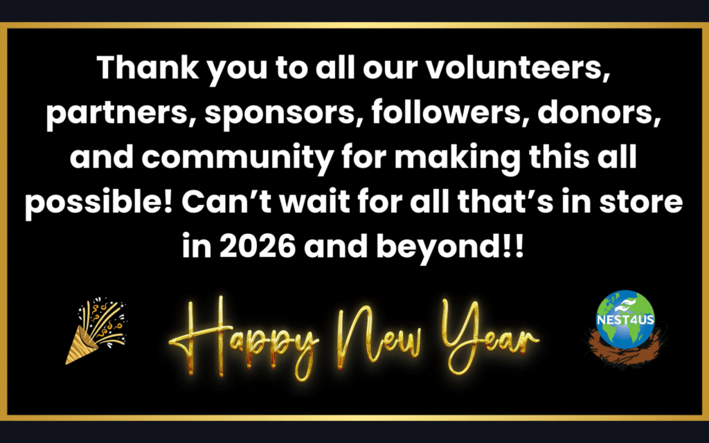 Screenshot 2025 12 29 105259