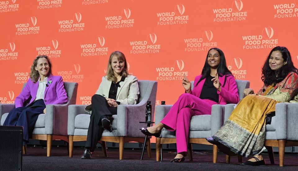 60c98605 E8f5 4ef2 B817 A70262960273